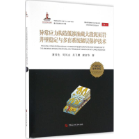 [M]异常应力构造低渗油藏大段泥页岩井壁稳定与多套系统储层保护技术-9787563649617