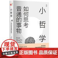 小哲学:如何思考普通的事物 扬·索克尔 北京大学出版社 正版书籍