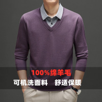 100%绵羊毛假两件青年细软加厚450g男式毛衫保暖休闲濮院毛衣衫