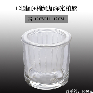 水培器皿创意玻璃花盆水养植物瓶透明花器绿萝白掌花瓶正方形容器
