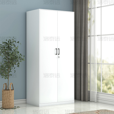 洛泰远 阳台柜单门衣柜钢制储物柜铁皮柜 白色双门衣柜800mm宽