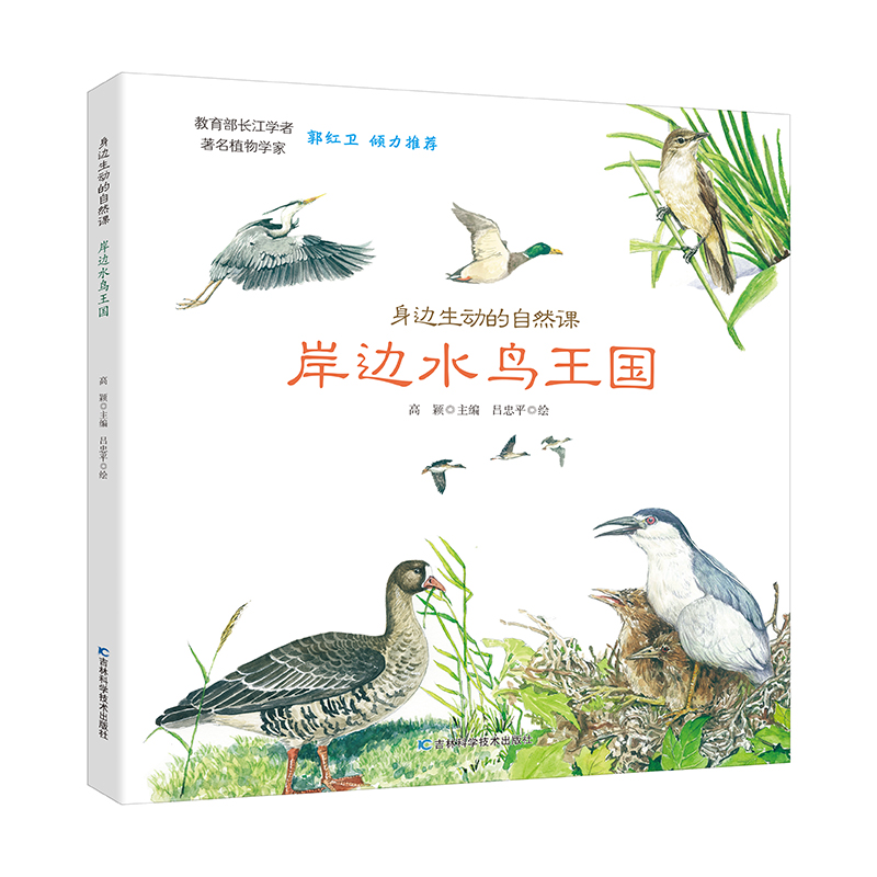 音像身边生动的自然课-岸边水鸟王国高颖