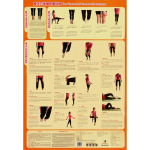 [M]膝关节保健按摩挂图-9787513236218