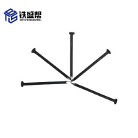 铁盛帮 铁钉100 件