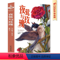 [单本]夜莺与玫瑰 [正版]王尔德童话 学生版 名著 含夜莺与玫瑰 小学生初中生青少年版课外阅读书 语文课外读物 学生童