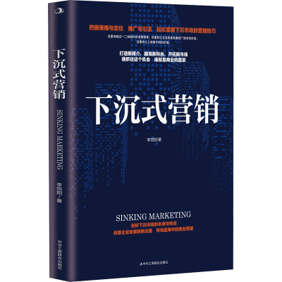 正版新书]下沉式营销李恺阳 著9787515829883
