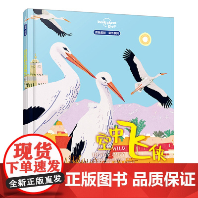 正版童书 城市里的野生动物朋友:空中飞侠