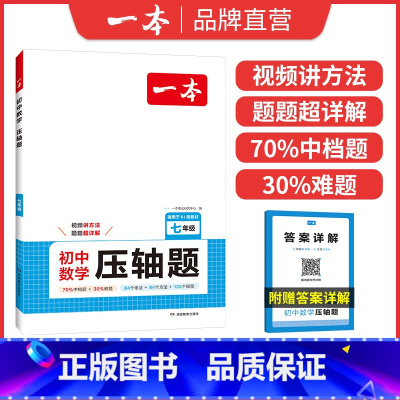 压轴题 七年级/初中一年级 [正版]2025初中数学压轴题七年级初中数学有理数方程初一数学必刷题上下册通用数学专题训练解