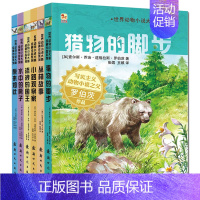 [正版]世界动物小说故事绘本全套6本 猎物的脚步6-9-12岁宝宝儿童科学启蒙读物早教书经典睡前童话故事连环画儿童成长系