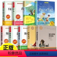 四年级阅读经典书目 套装共9册 [正版]四年级阅读经典书目 全套9册 草原上的小木屋 青鸟书秘密花园海底两万里小学版总有