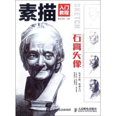 正版新书]石膏头像灌木文化9787115451019