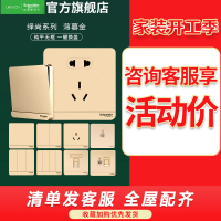 [官方旗舰店]施耐德电气开关插座绎尚薄暮金色86型大面板家用墙壁式 五孔一开弱电空调插座 带USB电源插座