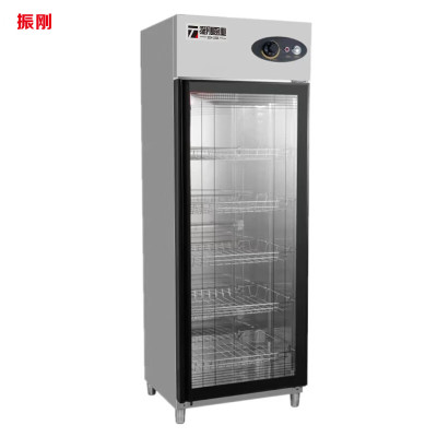 振刚单门玻璃门消毒柜 单玻璃门 台