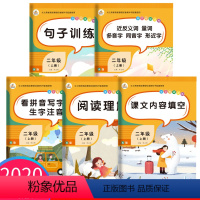 [正版]全5册二年级语文专项训练看拼音写词语阅读理解字词句子拼音拼读训练天天练习题册小学语文2二年级上册同步专项训练书