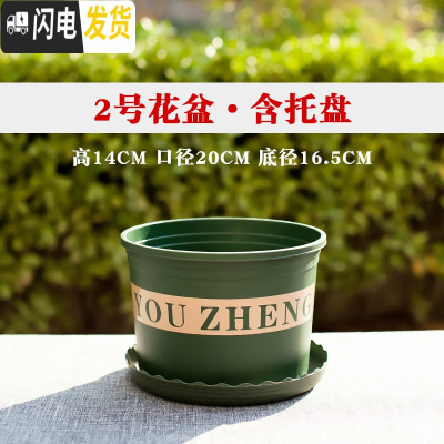 三维工匠塑料矮胖加仑花盆绿萝月季花多肉育苗盆加厚小加仑盆 矮胖2号口径20含托5个装[满十送一] 大花盆容器