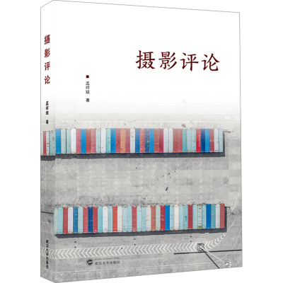 [正版]摄影评论 孟祥斌 武汉大学出版社 9787307242890
