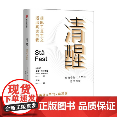 清醒 摆脱工具主义 活出真实自我 斯文·布林克曼 著 社会科学
