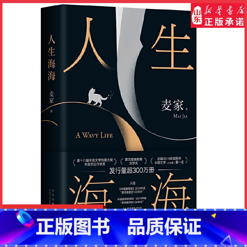 人生海海(新修订) [正版]人生海海麦家经典代表作莫言罗翔盛赞入选《人民日报》书单发行量超300万创文学新奇迹款款寄语海