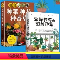 [正版]家庭养花与阳台种菜+阳台种菜种花种香草全2册 养花园艺书籍 在家里也能亲近自然让生活更加美好充实 陶冶性情的园
