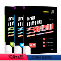 语文+英语+数学[套装]3本 小学升初中 [正版]三级特训语文数学英语六年级毕业练习测试复习资料小升初系统总复习试卷小考
