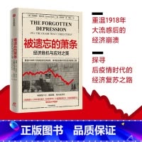 [正版]被遗忘的萧条 经济危机与应对之策 詹姆斯 格兰特 著 大萧条 华 街股灾 经济危机 后疫情时代 经济复苏