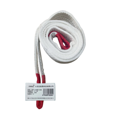 宏鑫晟志 扁平工具绳打包绳 2T-2米 根