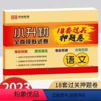 [54套押题卷]语文+数学+英语 小学通用 [正版]2024年小升初真题试卷人教版重点难点刷题六年级下册测试卷全套