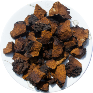 神芝王朝 桦树茸500克手工小块天然黑金颗粒桦树茸茶