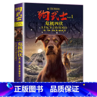 二部曲1:危机四伏 [正版]狗武士全套12册 狗武士首部曲二部曲外国经典动物小说作者艾琳亨特猫武士系列作品集小学生7-1