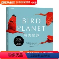 [正版]鸟类星球 鸟类摄影画册 中国国家地理蒂姆·拉曼国际生物摄影年赛获奖者作品集 大开本摄影画册
