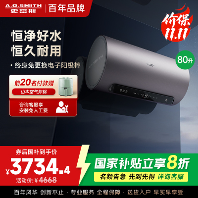 AO史密斯80升电热水器 国家补贴 金圭内胆 双棒分离速热 免换镁棒 免清洗 E80ED8