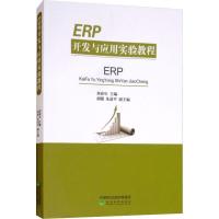正版新书]ERP开发与应用实验教程刘春年9787514165661