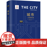 城市:一部世界史