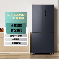 容声 BCD-620WD19FP 青山黛 620升超大容量一级能效全时双驱变频节能离子除菌十字门四开电冰箱