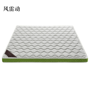 风雷动椰棕床垫家用棕垫12cm竹纤维(0胶水天然椰棕+软硬两用+全拆洗)800mm*2000mm