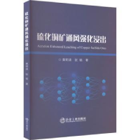 音像硫化铜矿通风强化浸出清,张铭著