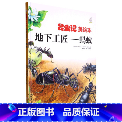 地下工匠蚂蚁 [正版]昆虫绘美绘本地下工匠 儿童绘本昆虫科普百科精装硬壳硬皮 3-6岁儿童阅读 亲子阅读幼儿早教启蒙科普