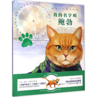 音像我的名字叫鲍勃