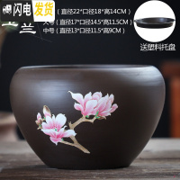三维工匠紫砂花盆陶瓷大号特大中国风带托盘创意绿萝个性多肉花盆 玉兰花紫砂单个(送塑料托盘) 特大花盆容器