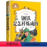 钢铁是怎样炼成的 [正版]兔子坡注音版三年级书籍一年级二年级阅读课外书必读经典书目小学生1-2-3年级带拼音书籍老师推