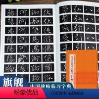 [正版]褚遂良雁塔圣教序字典 中国碑帖临习字典 按偏旁部首归类行书隶书楷书毛笔书法字典工具书 书法爱好者快速掌握字体结