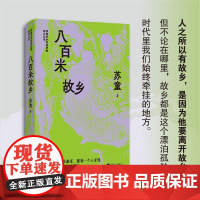 (精装)八百米故乡 苏童精选散文集 茅盾文学奖获奖者散文丛书 一个人发现故乡的 苏童 江苏文艺出版社 正版书籍
