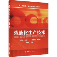 煤液化生产技术(李洪林)