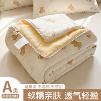 2026新款夏季双层纱夏被薄款可机水洗学生宿舍空调被单双人夏凉被