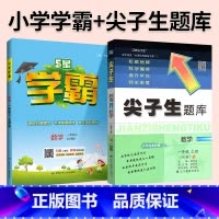 难度升级[尖题+学霸]数学 北师版 2本 二年级上 [正版]2024春尖子生题库二三年级四五年级六一年级上下册数学语文人