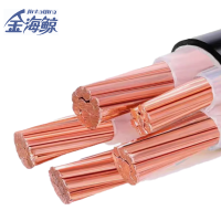 金海鲸 低烟无卤铠装电力电缆WDZYJY234×95+1 米