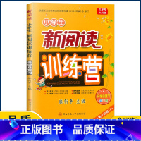 小升初 小学通用 [正版]2022版小学生新阅读训练营 一二三四五六年级小升初 第十次修订语文阅读理解专项训练升学总复习