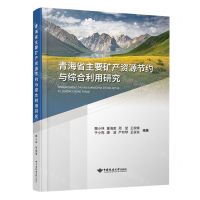 [N]青海省主要矿产资源节约与综合利用研究(精)-9787562556350