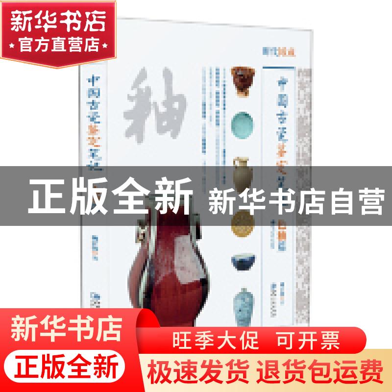 正版 中国古瓷鉴定笔记:色釉篇 姚江波 江西美术出版社 978754806
