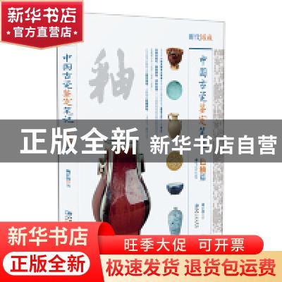 正版 中国古瓷鉴定笔记:色釉篇 姚江波 江西美术出版社 978754806